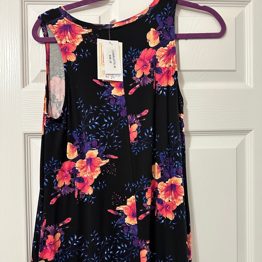 BNWT LuLaRoe Charlotte dress